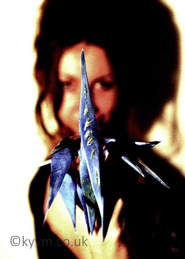 Dr Julie Anne Denton is a fantastic artist and good friend and this shameless plug is also a thankyou for producing some truly challenging works to shoot - a link to her website can be found below the images
