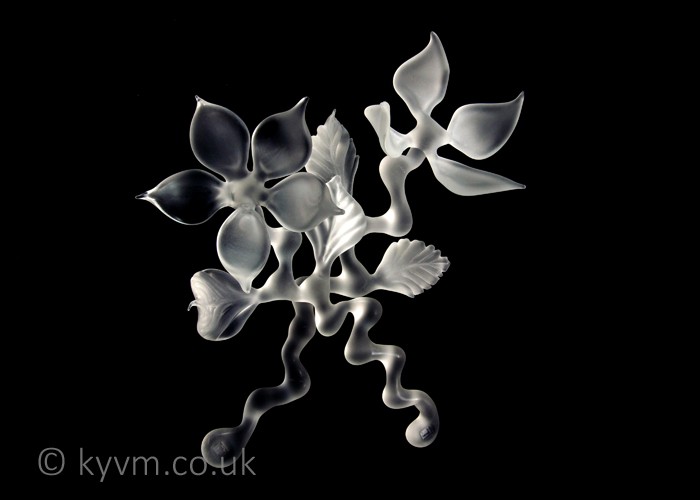 Dr Julie Anne Denton is a fantastic artist and good friend and this shameless plug is also a thankyou for producing some truly challenging works to shoot - a link to her website can be found below the images
