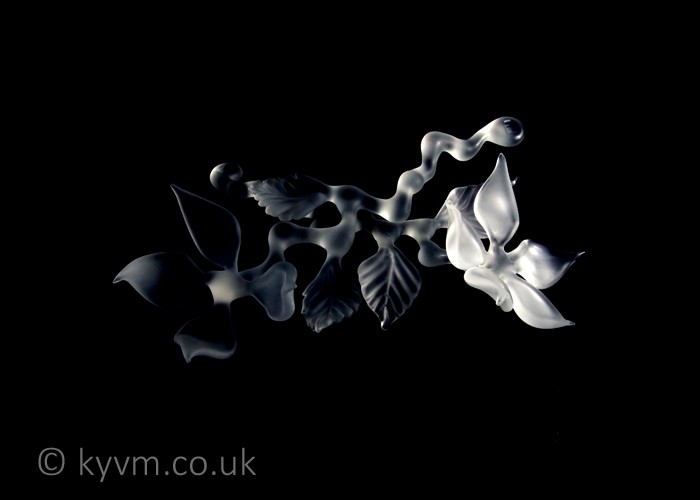 Dr Julie Anne Denton is a fantastic artist and good friend and this shameless plug is also a thankyou for producing some truly challenging works to shoot - a link to her website can be found below the images