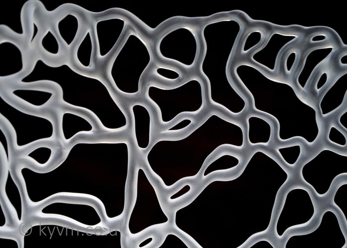 Dr Julie Anne Denton is a fantastic artist and good friend and this shameless plug is also a thankyou for producing some truly challenging works to shoot - a link to her website can be found below the images