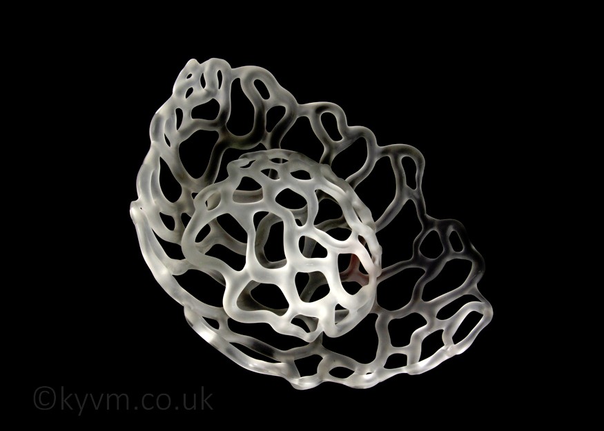 Dr Julie Anne Denton is a fantastic artist and good friend and this shameless plug is also a thankyou for producing some truly challenging works to shoot - a link to her website can be found below the images