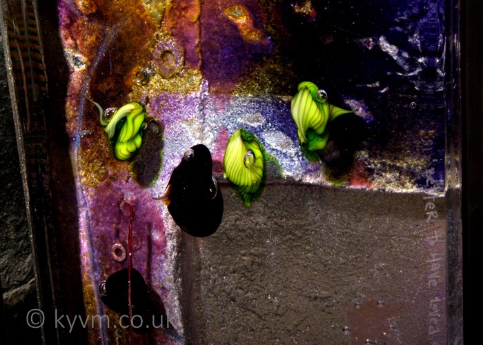 Dr Julie Anne Denton is a fantastic artist and good friend and this shameless plug is also a thankyou for producing some truly challenging works to shoot - a link to her website can be found below the images