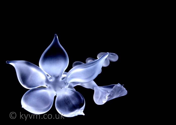 Dr Julie Anne Denton is a fantastic artist and good friend and this shameless plug is also a thankyou for producing some truly challenging works to shoot - a link to her website can be found below the images