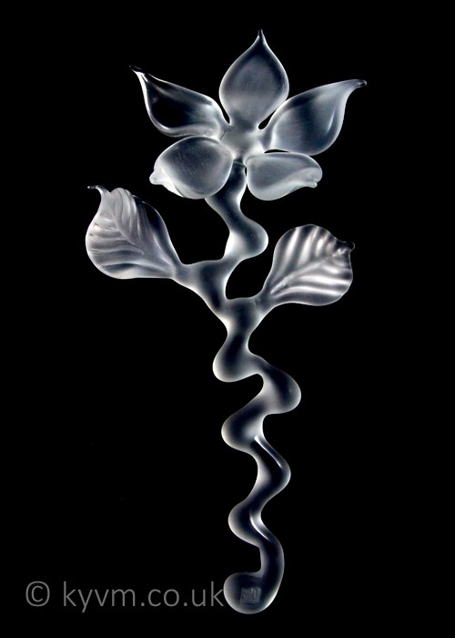 Dr Julie Anne Denton is a fantastic artist and good friend and this shameless plug is also a thankyou for producing some truly challenging works to shoot - a link to her website can be found below the images